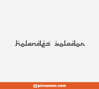 Holandés Volador